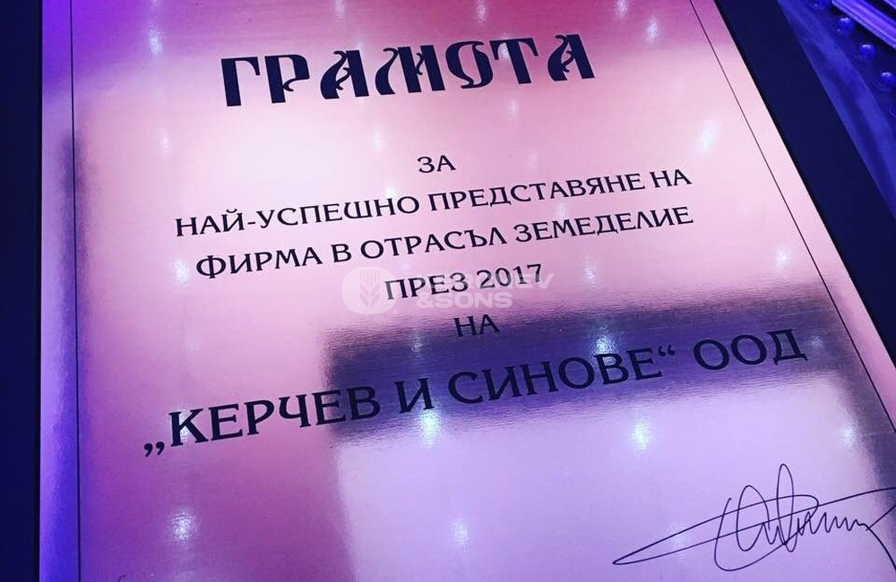 Бизнесмен на годината Плевен 2017